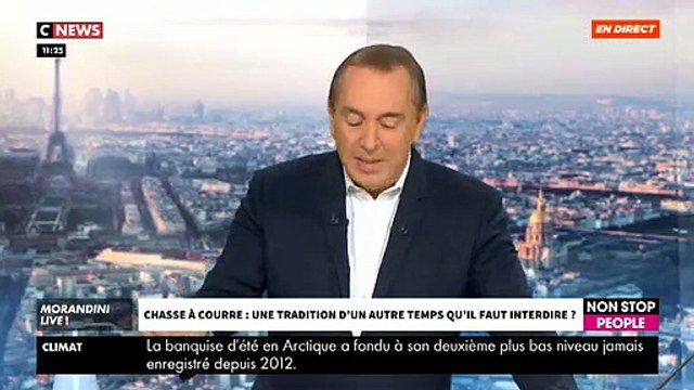 Faut-il interdire la chasse à courre ? Revoir le débat très tendu ce matin en direct dans Morandini Live sur CNews - VIDEO