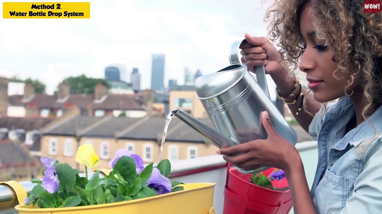 5 Genius Ways to Water Your Plants When You are Away on Vacation - Indoor Plants Automatic Watering