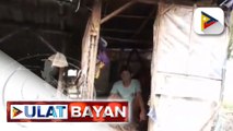 Brgy. Capt. sa Malasiqui, Pangasinan, kakasuhan matapos manapak ng lalaking pipi at bingi