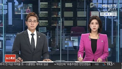 검찰, '나경원 의혹' 관련 문체부 직원 소환조사