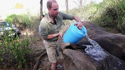 Prince William Speaks Candidly About the Environment and Being a Father