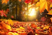 La ciencia del equinoccio de otoño