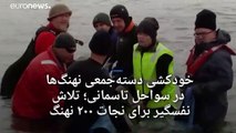 خودکشی دسته‌جمعی نهنگ‌ها در سواحل تاسمانی؛ تلاش نفسگیر برای نجات ۲۰۰ نهنگ گرفتار