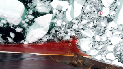 “Gezegenin kara kutusu: Antarktika” belgeseli gün sayıyor