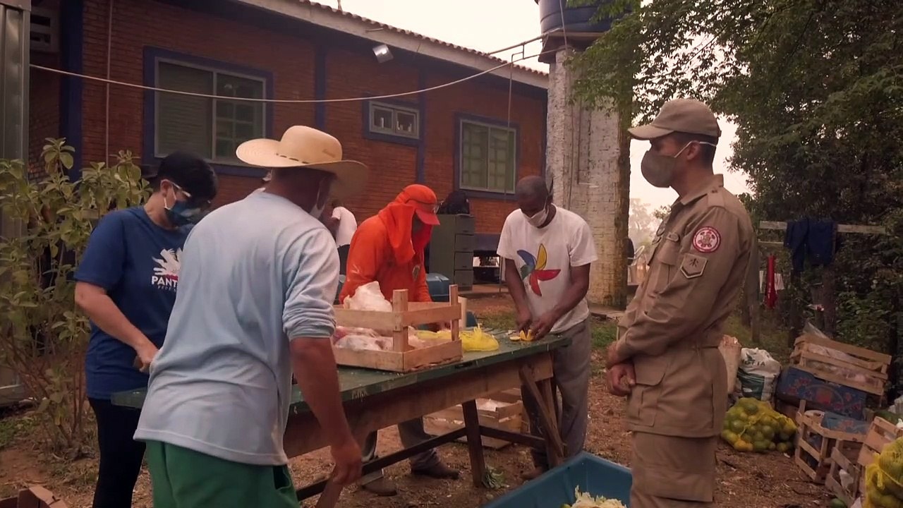 Häftlinge kämpfen gegen Waldbrände in Brasilien
