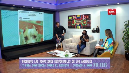 Download Video: Moca Panamá | Grupo dedicado al rescate de animales en condición de maltrato y abandono - Nex Panamá