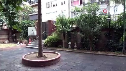 Kadıköy'deki Tubini ailesine ait tarihi köşk satışa çıkarıldı