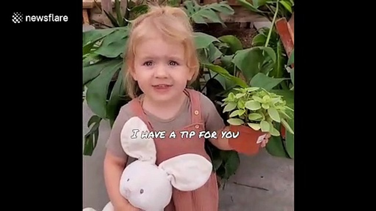Green-fingered toddler enthusiastically explains how not to kill your houseplants