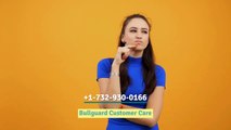 Bullguard Customer Care (1-315-280-8812) Bullguard Technical Support Phone Number