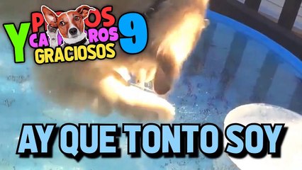 la verdad es muy gracioso