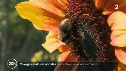 Voyages scolaires annulés : les centres de vacances à l'arrêt