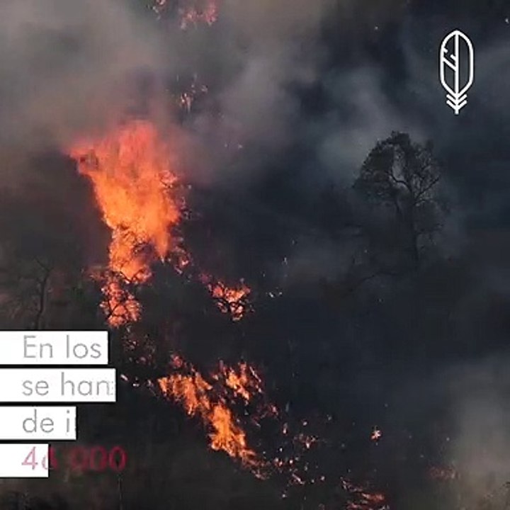 incendios-final