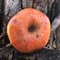 This 'Extinct' Colorado Apple Could Be Available in Grocery Stores Soon