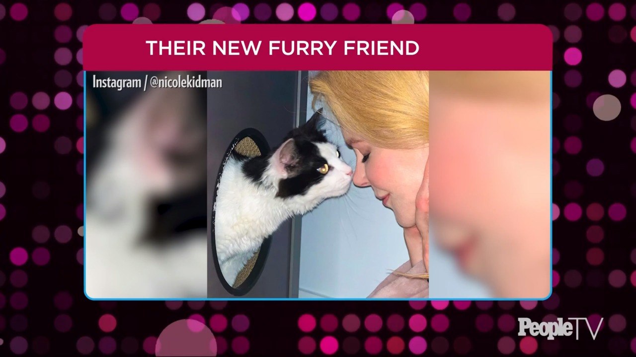 Nicole Kidman Adopts Rescue Cat Named Louis: 'Newest Member of Our Fur Family'