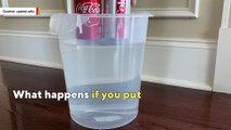 Why Diet Coke floats but regular Coke sinks in water?