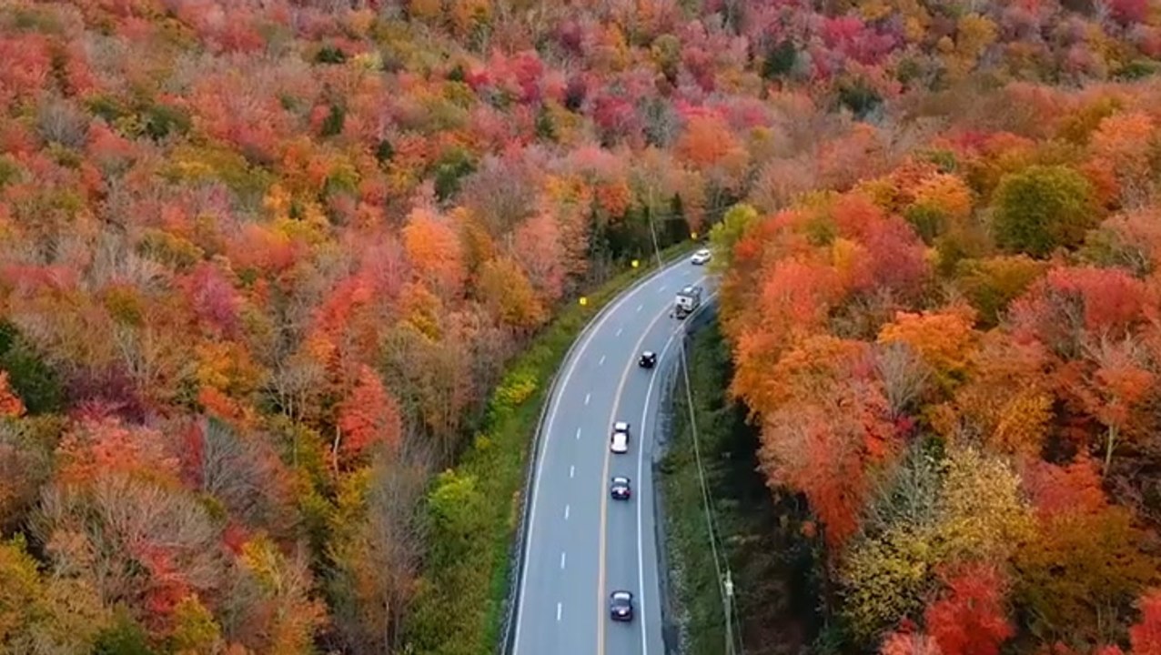 7 places to celebrate the start of autumn