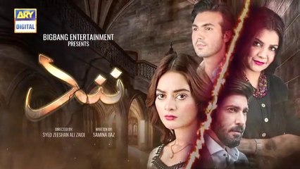 Nand Episode 29 ARY Digital Drama