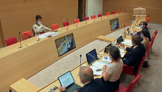 Emergence et évolution des différentes formes de racisme : Audition du CNRS et du MRAP - Mardi 22 septembre 2020