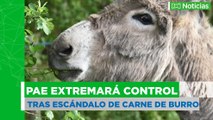 PAE extremaría controles tras escándalo de carne de burro