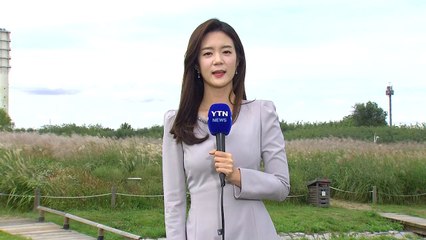 [날씨] 내일 구름 많고 선선...영동 120mm↑ 많은 비 / YTN