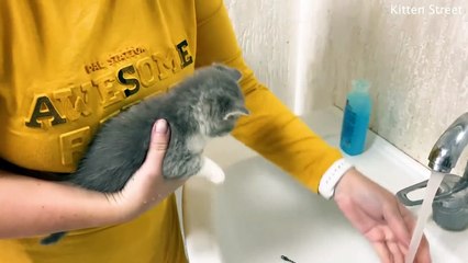 First bath for kitten  and its loud meow