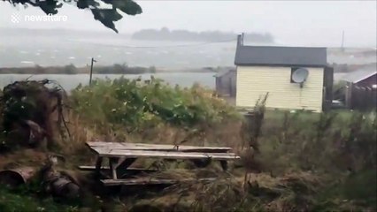 Strong winds in Nova Scotia as Hurricane Teddy downgraded to post-tropical storm