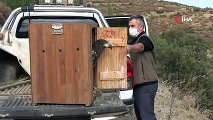 KENDİNİ TEDAVİ EDENLERE TEŞEKKÜR EDER GİBİ BAKIP HAVALANDI