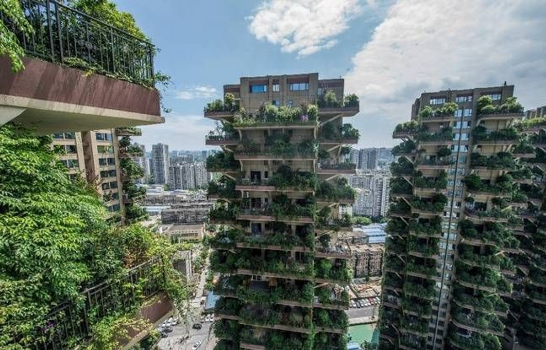 Ces immeubles végétalisés se sont transformés en pièges à moustiques invivables