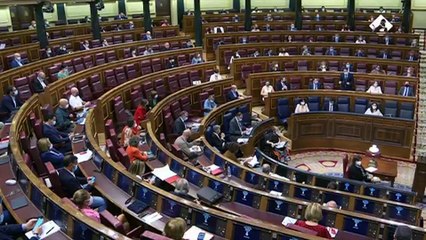 Egea (PP): "El Falcon está para llegar a tiempo a Bruselas después de la sesión de control, no para ir a conciertos en Benicasim"