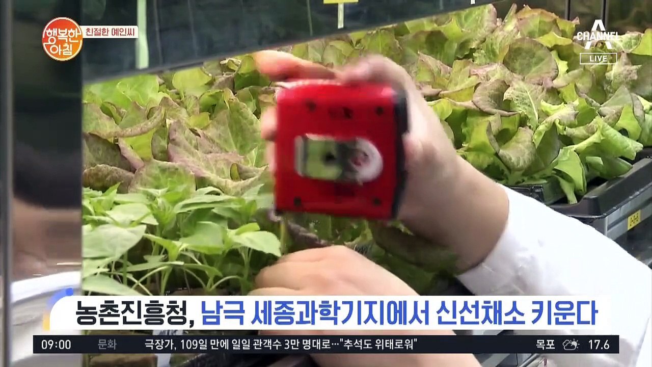 [친절한 예인씨] 초록우산 어린이재단, 7번째 천사데이 캠페인