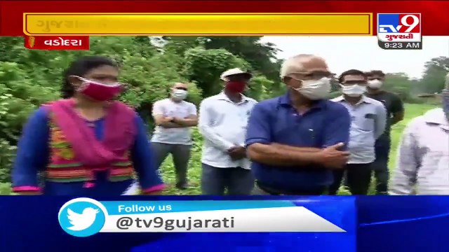 Vadodara- Farmers in Koyli face severe crop loss as industrial units release chemical mixed water