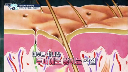 콜라겐 부족은 전신 건강 해친다?! #광고포함