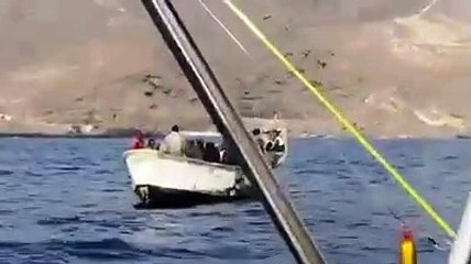 Llega una patera con una treintena de inmigrantes a Tenerife