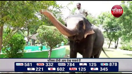 एलीफेंट राइड शुरू करने की मांग