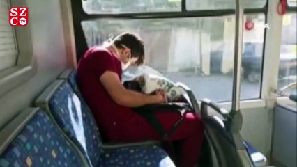 Otobüste uyuyakalan sağlık görevlisi konuştu