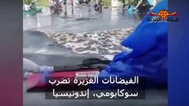 الفيضانات والسيول تضرب اكبر دولة اسلامية في العالم - لا حول ولا قوة الا بالله