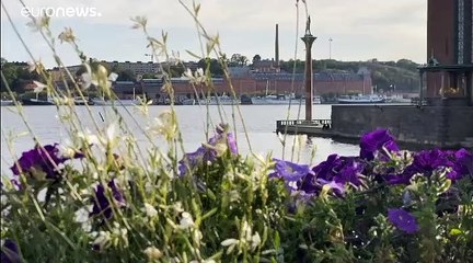 L'Europe doit-elle suivre la stratégie suédoise face au Covid-19 ?