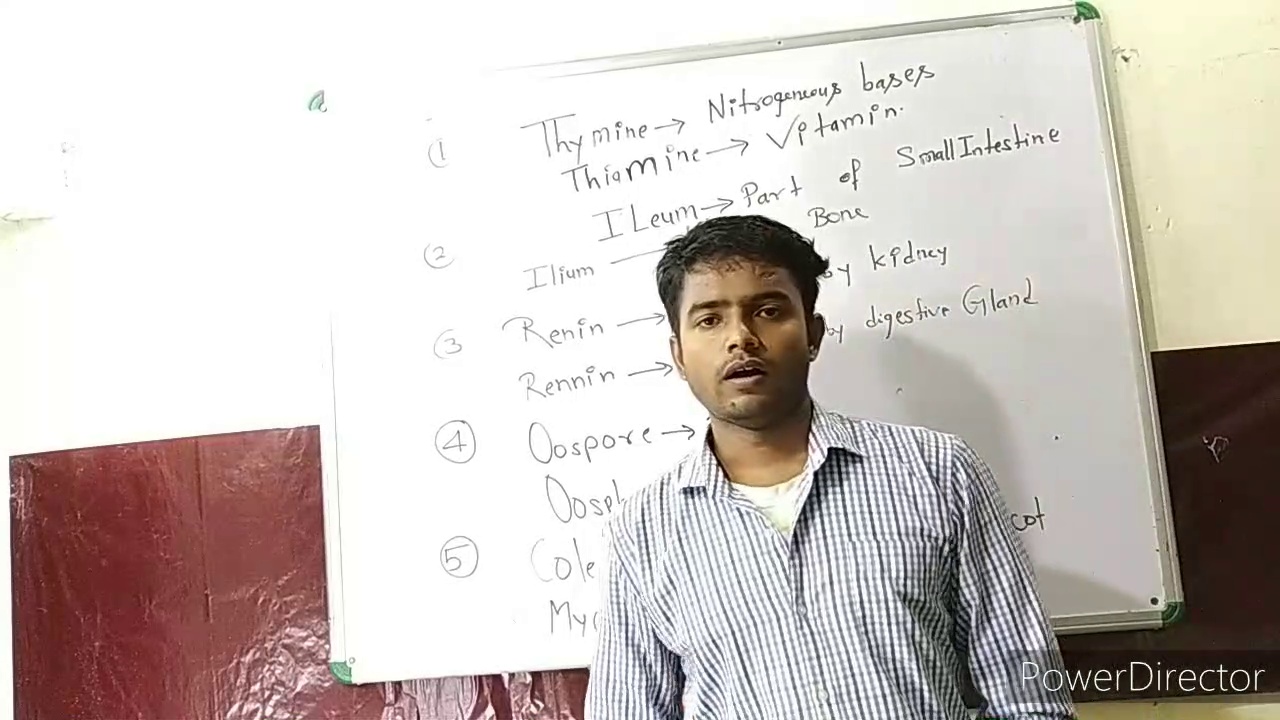 All confusion word of biology. # crackneetwithsurya. example  ileum, ilium, paedogenesis paedogenesis, renin rennin, thyamine  thiamine