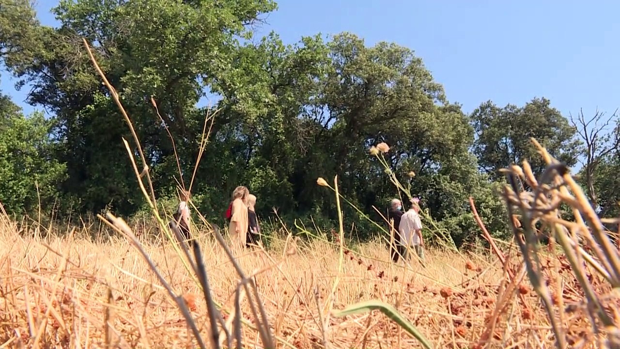 Le drame des enfants morts dans les camps harkis sort peu à peu de l’oubli