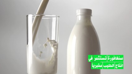 سنغافورة تتجه لانتاج الغذائيات مخبرياً