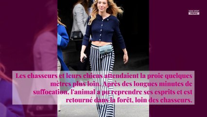 Laura Smet pousse un violent coup de gueule contre la chasse à courre