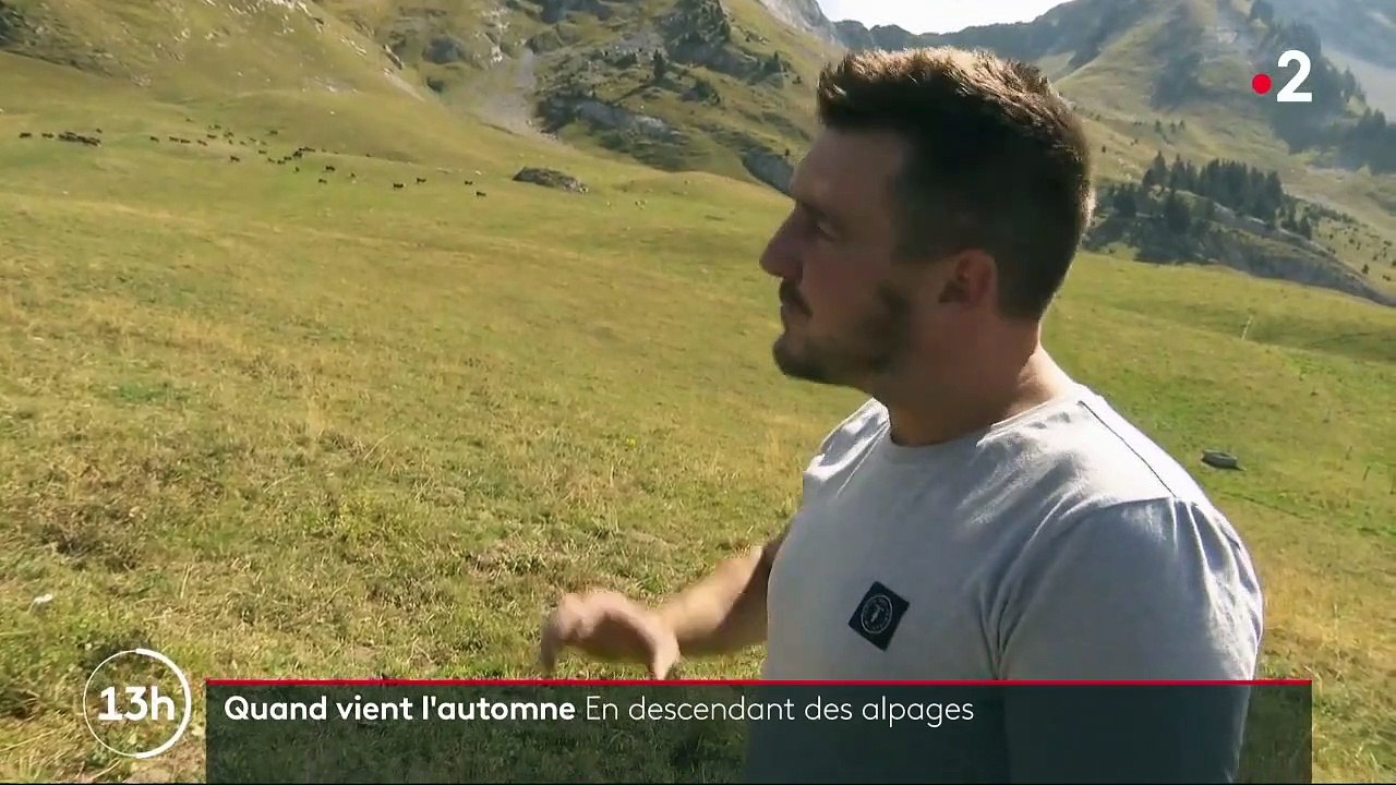 Haute-Savoie : à l'approche de l'automne, la fin de l'alpage