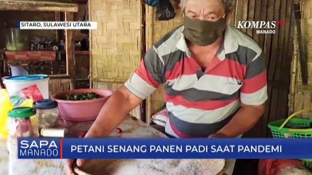 Petani Senang Panen Padi Saat Pandemi