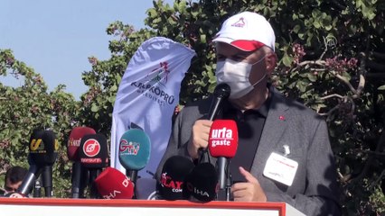 Koronavirüsü atlatan Binali Yıldırım ve eşi fıstık hasadına katıldı - ŞANLIURFA
