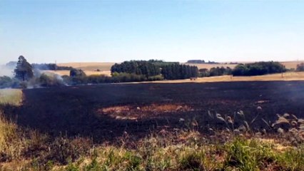 Bombeiros combatem incêndio em vegetação na Av. Piquiri