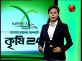 অ্যাজমা ও ব্রংকাইটিস প্রতিরোধ করে চুইঝাল, Chuijhal prevents asthma and bronchitis, Ehq22