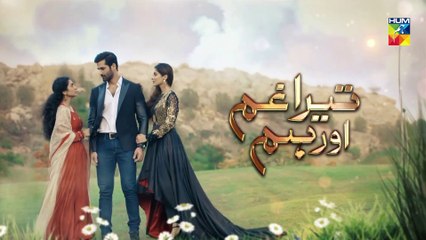 Tera Ghum Aur Hum Episode 26 Promo HUM TV