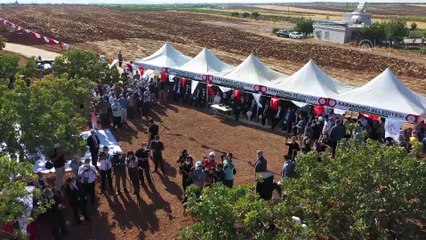 Koronavirüsü atlatan Binali Yıldırım ve eşi fıstık hasadına katıldı - Drone - ŞANLIURFA