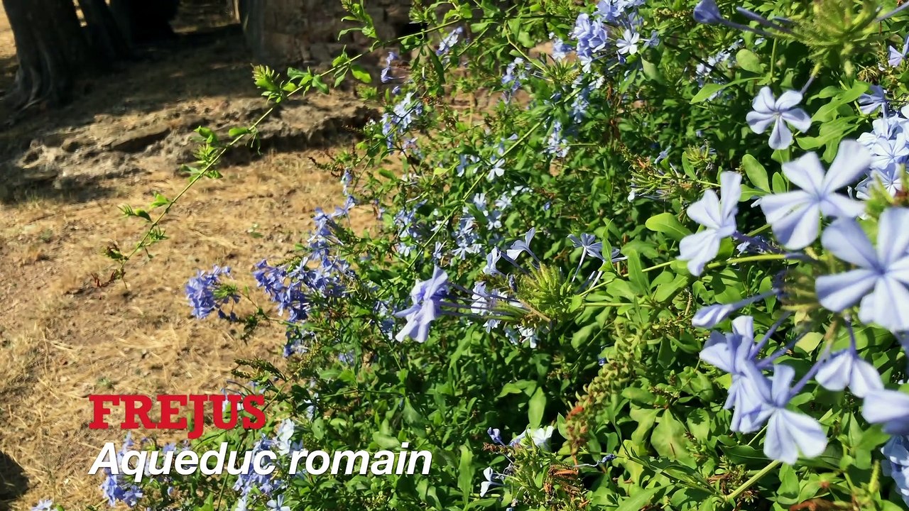 Tourisme Saint-tropez et l’aqueduc de Fréjus