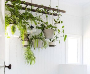 This Farmhouse Ladder Is the Perfect Way to Show Off Houseplants